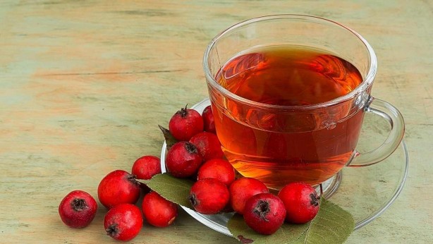 Foto - Stresle savaşan 5 bitki çayı