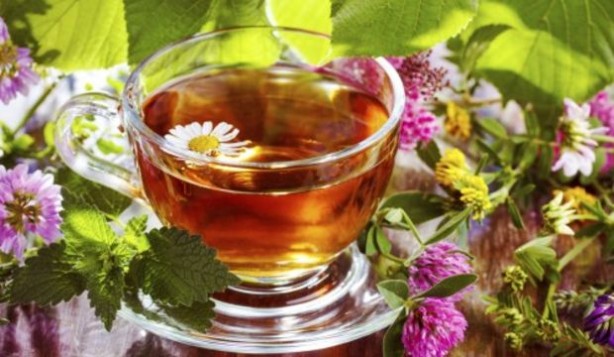 Foto - Stresle savaşan 5 bitki çayı