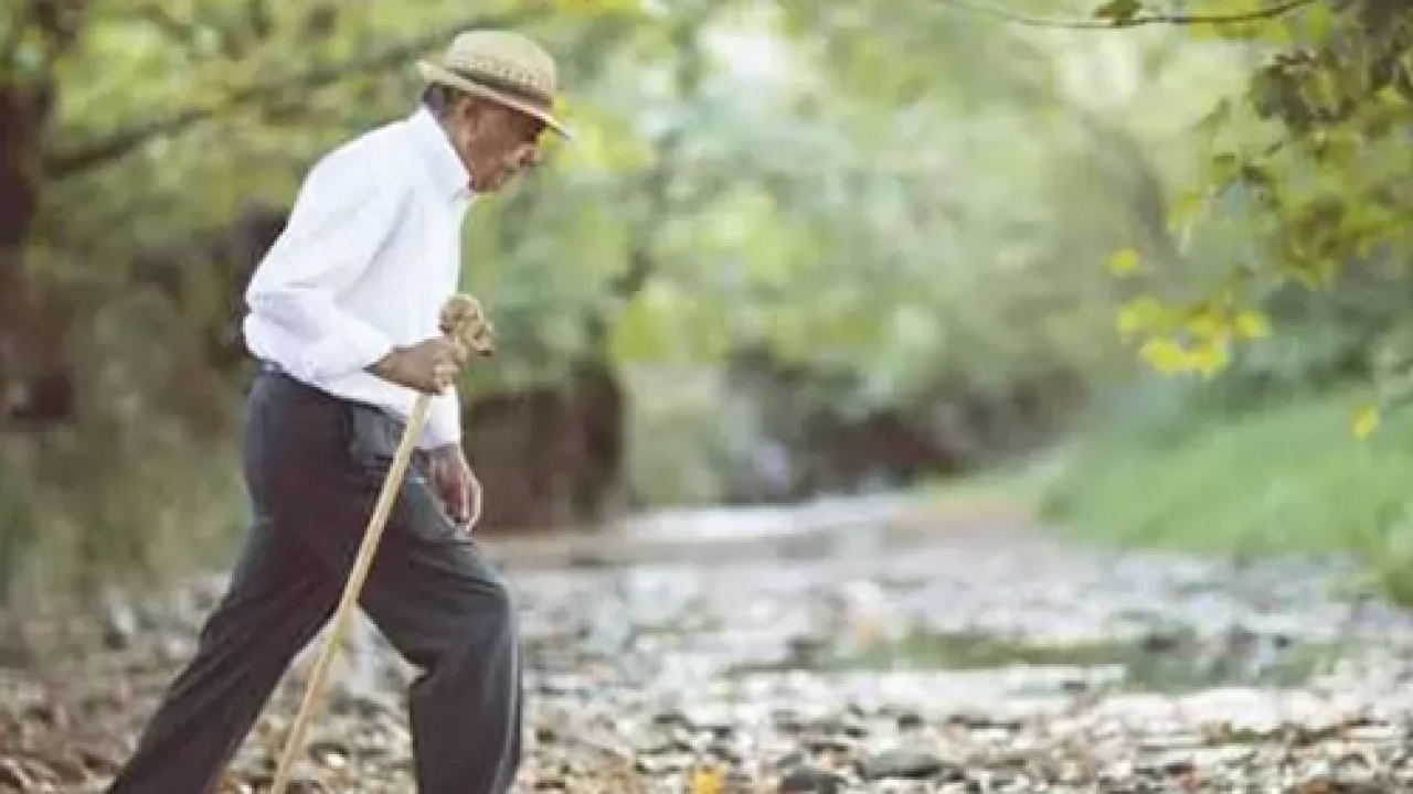 Stresten tutun da daha neler neler... Yavaş hareket etmenin 5 ilginç faydası