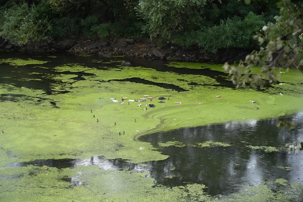 Foto - Su akışı tamamen durdu! İşte Tunca Nehri'nin korkutan son hali