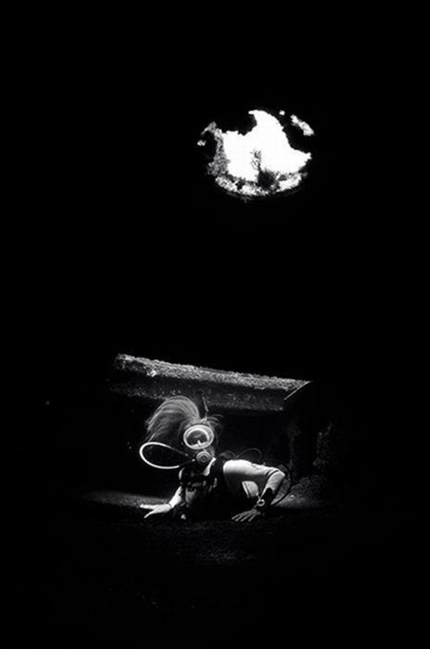 Foto - Su altı dünyasından harika kareler