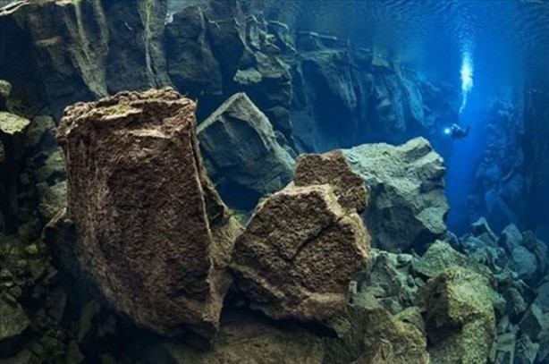 Foto - Su altı dünyasından harika kareler