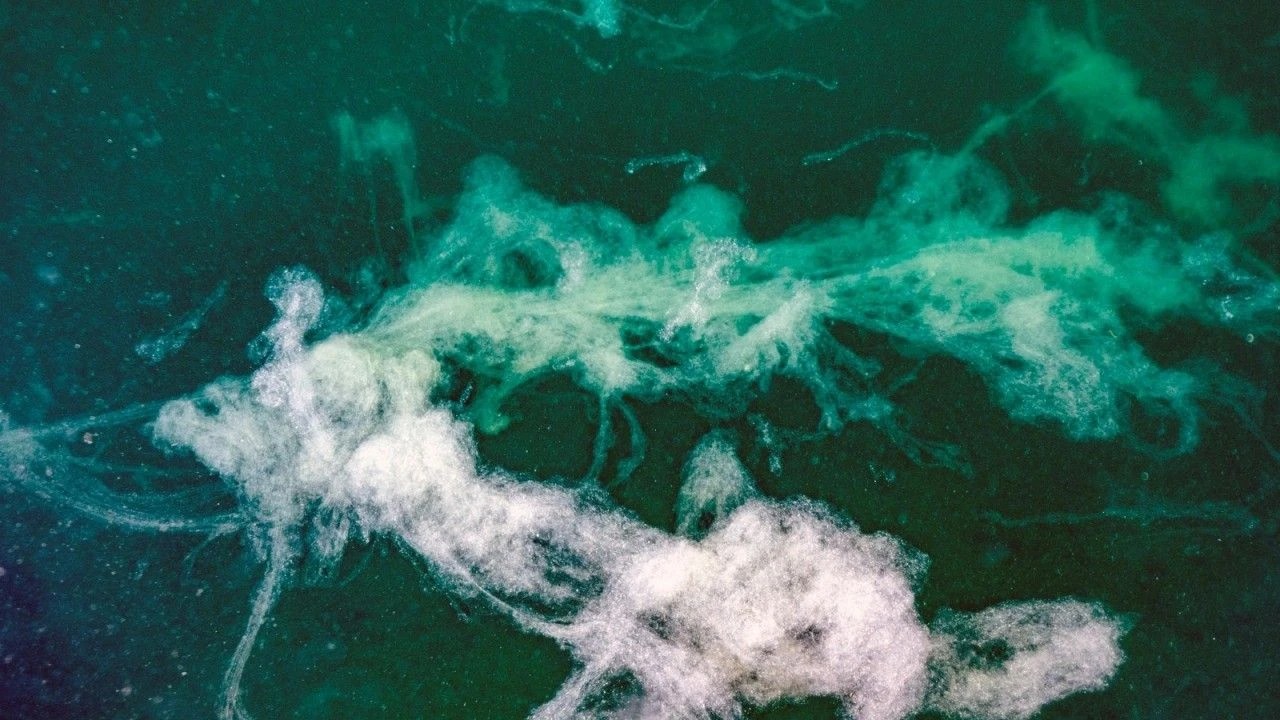 Foto - Su altı görüntüleri ortaya çıktı! Ekrem Marmara Denizi’ne Kanalizasyonu Bağlamış