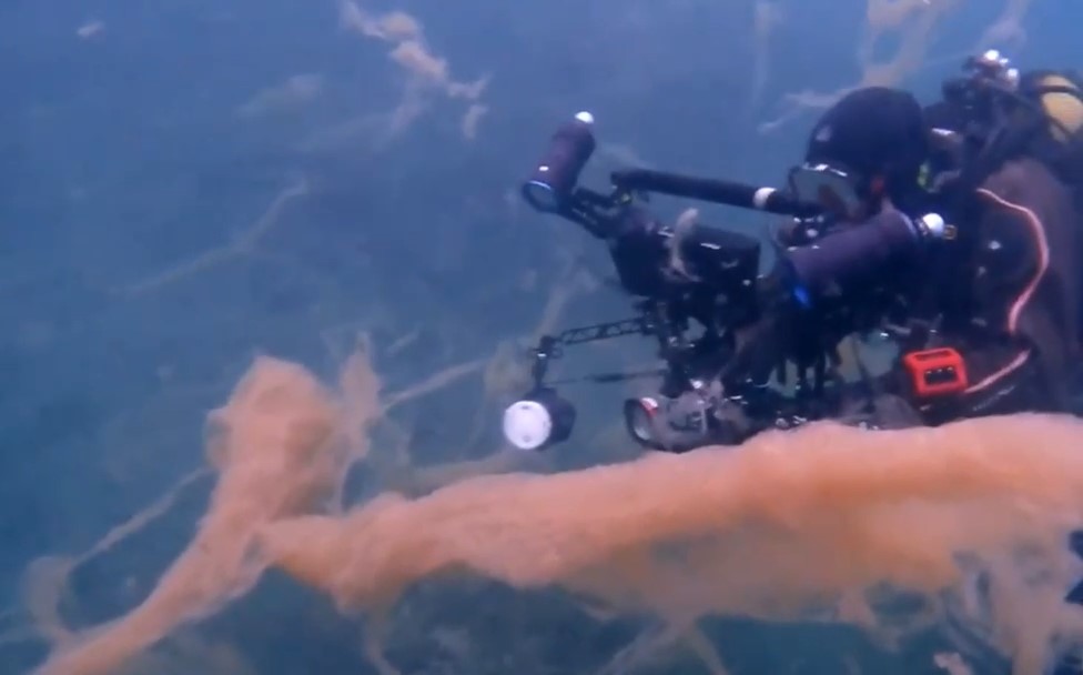 Foto - Su altı görüntüleri ortaya çıktı! Ekrem Marmara Denizi’ne Kanalizasyonu Bağlamış