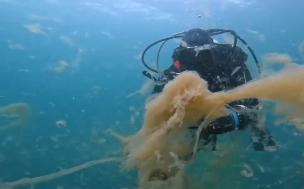 Foto - Su altı görüntüleri ortaya çıktı! Ekrem Marmara Denizi’ne Kanalizasyonu Bağlamış