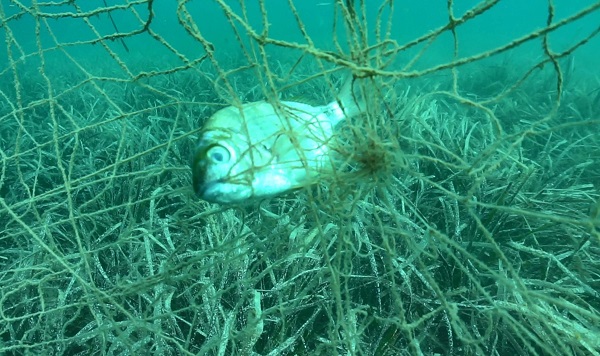 Foto - Su altı kamerasıyla görüntülendi! Deniz ekosistemine geri dönüşü olmayan zararlar veriyor