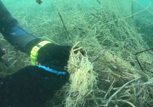 Foto - Su altı kamerasıyla görüntülendi! Deniz ekosistemine geri dönüşü olmayan zararlar veriyor