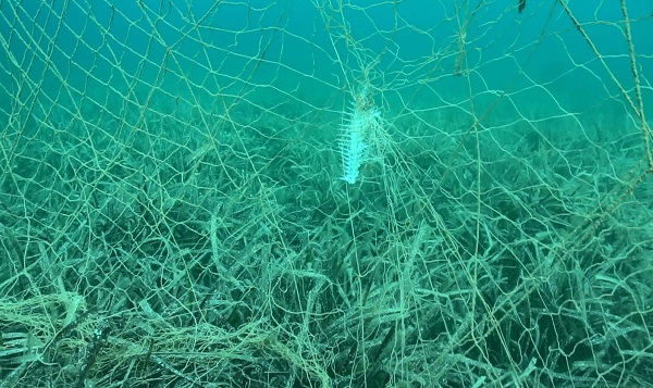 Foto - Su altı kamerasıyla görüntülendi! Deniz ekosistemine geri dönüşü olmayan zararlar veriyor