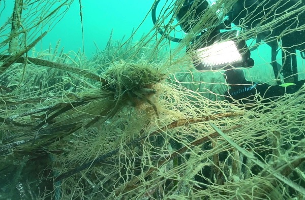 Foto - Su altı kamerasıyla görüntülendi! Deniz ekosistemine geri dönüşü olmayan zararlar veriyor