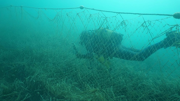 Foto - Su altı kamerasıyla görüntülendi! Deniz ekosistemine geri dönüşü olmayan zararlar veriyor