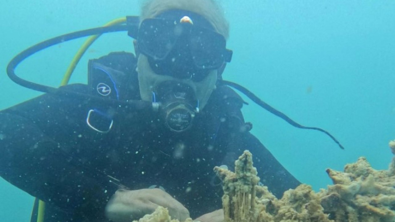 Foto - Şu ana kadarki en büyük..! Van Gölü'nde yeni bir keşif