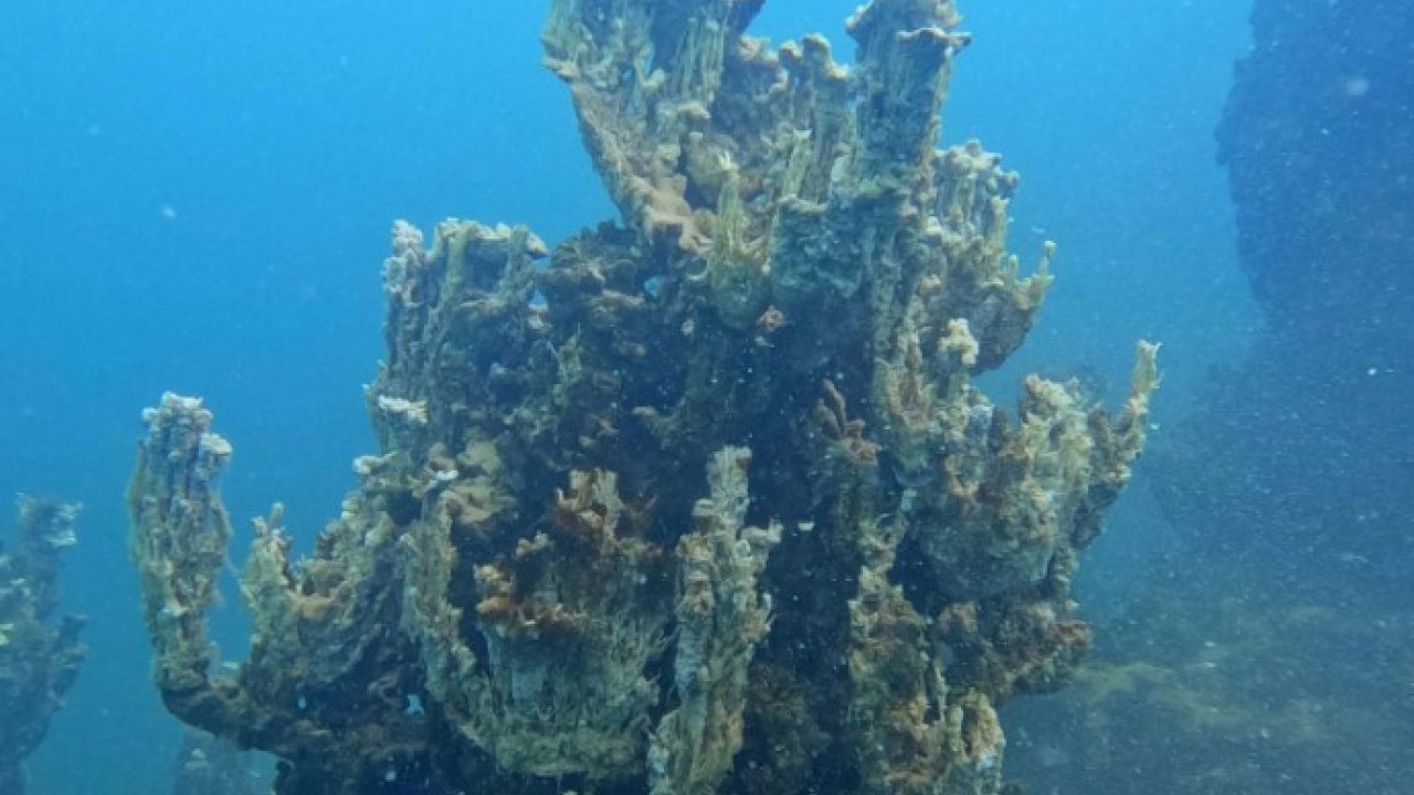 Foto - Şu ana kadarki en büyük..! Van Gölü'nde yeni bir keşif