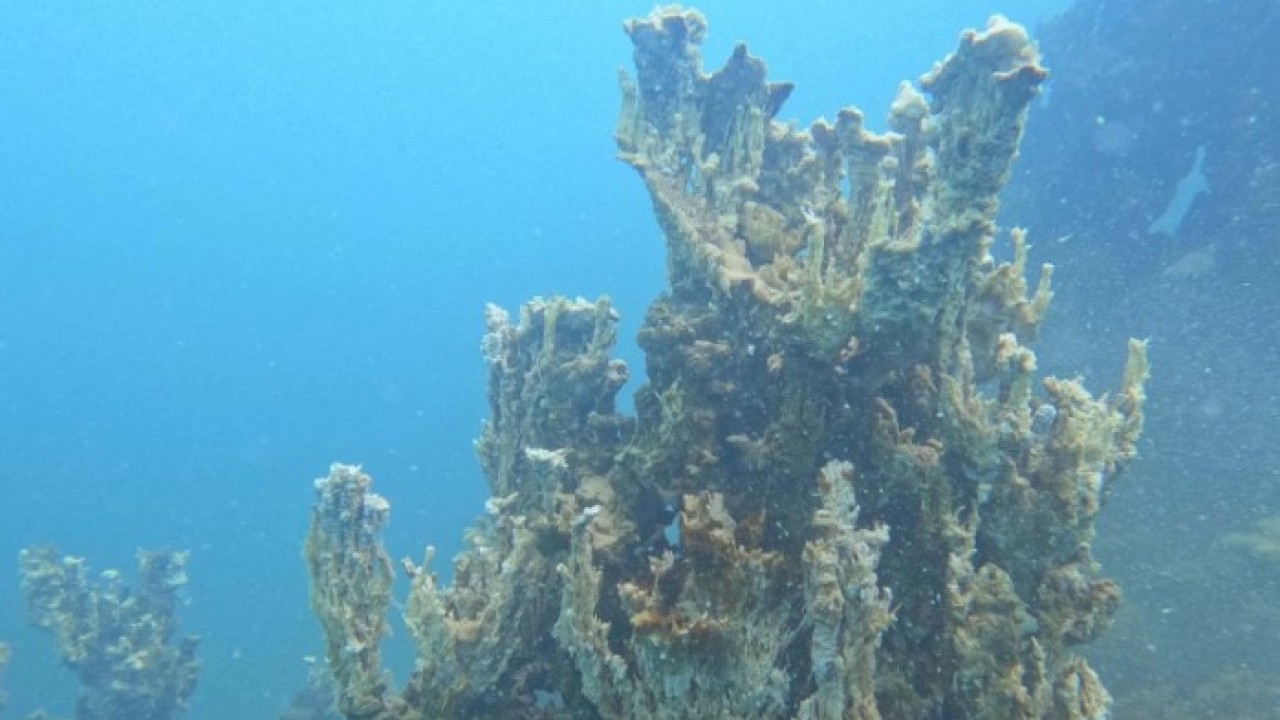 Foto - Şu ana kadarki en büyük..! Van Gölü'nde yeni bir keşif