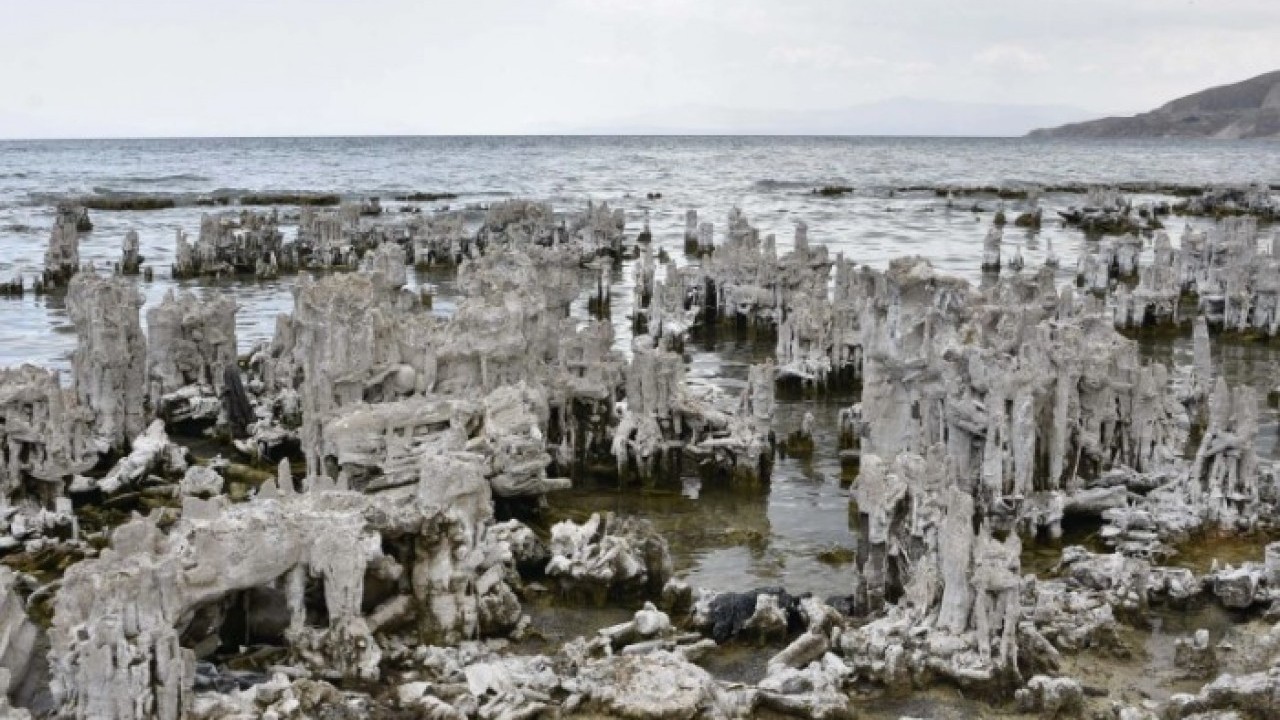 Şu ana kadarki en büyük..! Van Gölü'nde yeni bir keşif