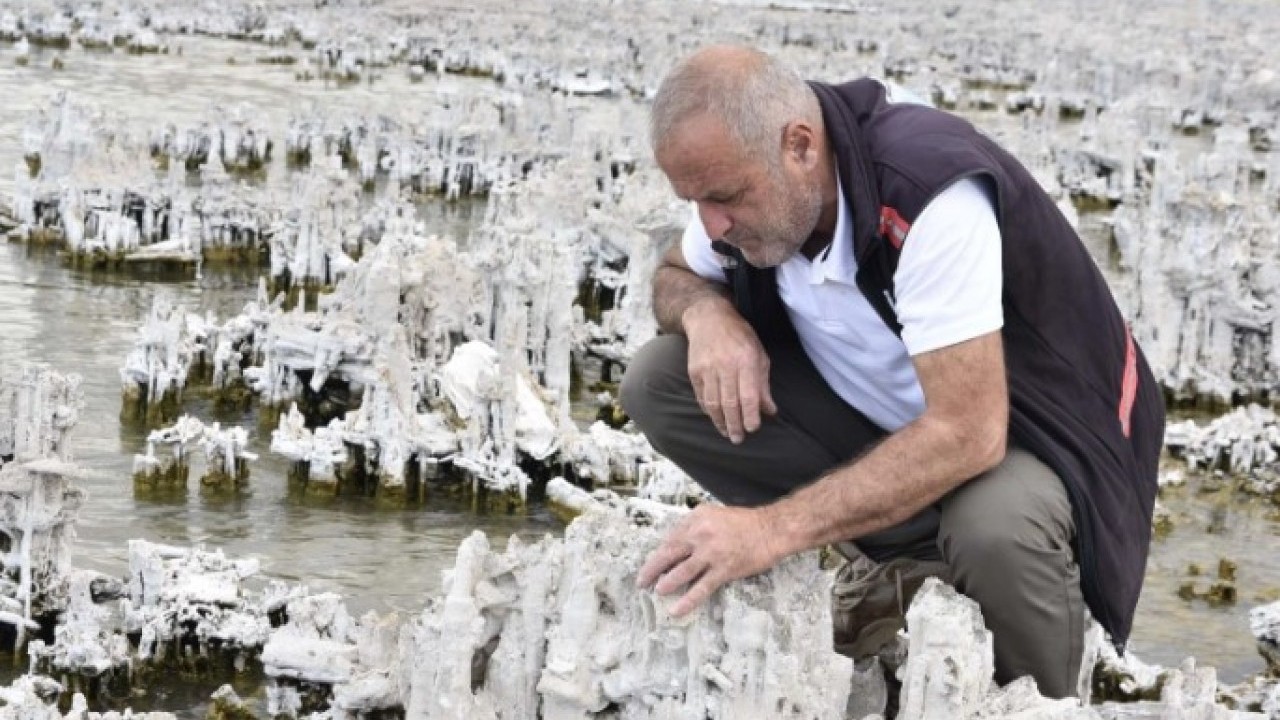 Foto - Şu ana kadarki en büyük..! Van Gölü'nde yeni bir keşif