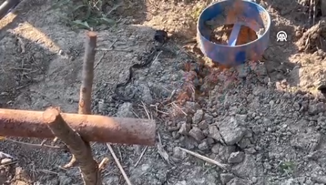 Foto - Su arıyordu! Bahçesinden bir anda doğalgaz fışkırmaya başladı... Tüm köylüler şokta