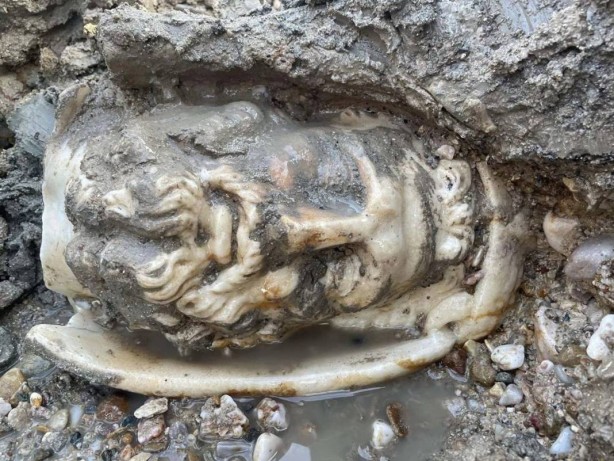 Foto - Su birikintisinde bulundu! Bir ayağı kesik! Böylesi ilk kez yaşanıyor! Yetkililer apar topar harekete geçti