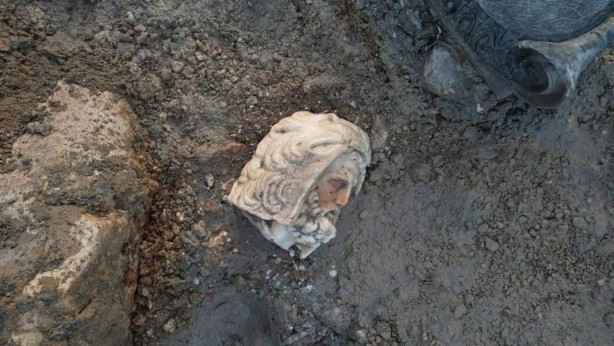 Foto - Su birikintisinde bulundu! Bir ayağı kesik! Böylesi ilk kez yaşanıyor! Yetkililer apar topar harekete geçti