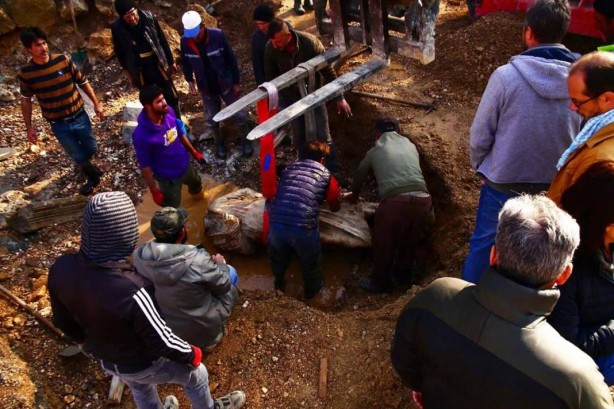 Foto - Su birikintisinde bulundu! Bir ayağı kesik! Böylesi ilk kez yaşanıyor! Yetkililer apar topar harekete geçti