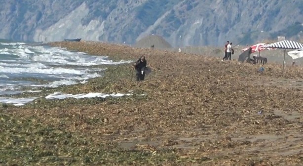 Foto - Su canavarları sahili kapladı! 'Şok olduk'
