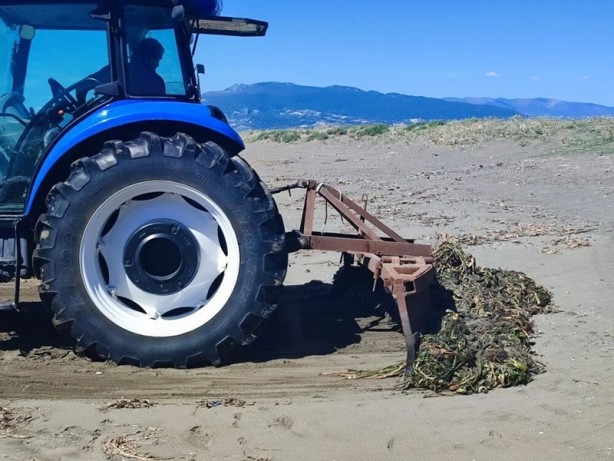 Foto - Su canavarları sahili kapladı! 'Şok olduk'