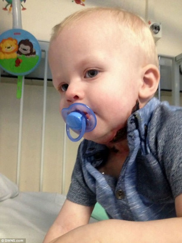 Foto - Su çiçeği sandılar ama...