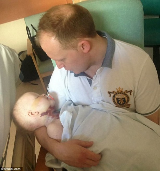 Foto - Su çiçeği sandılar ama...