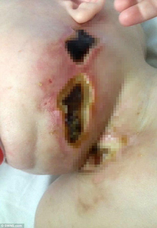 Foto - Su çiçeği sandılar ama...