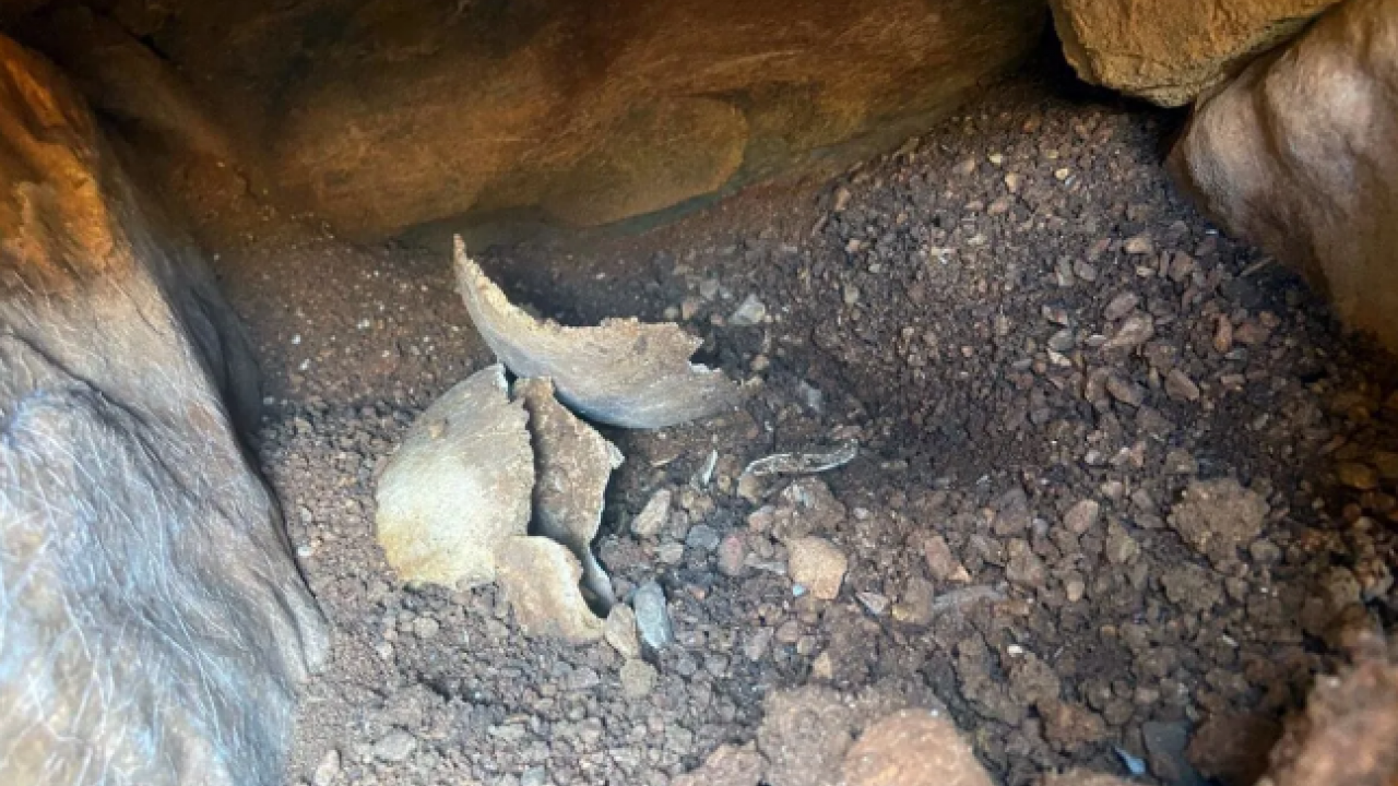 Foto - Su deposunda tarihi eser bulundu!