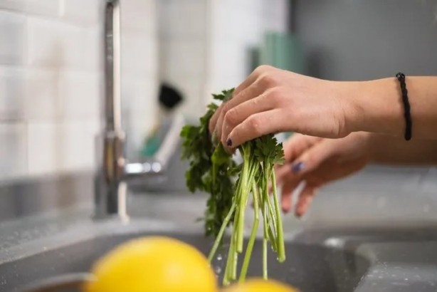 Foto - Su gibi yağ yaktıran maydanoz kürü! Artık herkes böyle tüketecek…