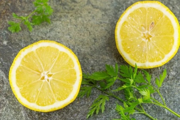 Foto - Su gibi yağ yaktıran maydanoz kürü! Artık herkes böyle tüketecek…