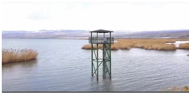 Su kaybı devam ediyor! Erçek Gölü'nün son hali üzdü