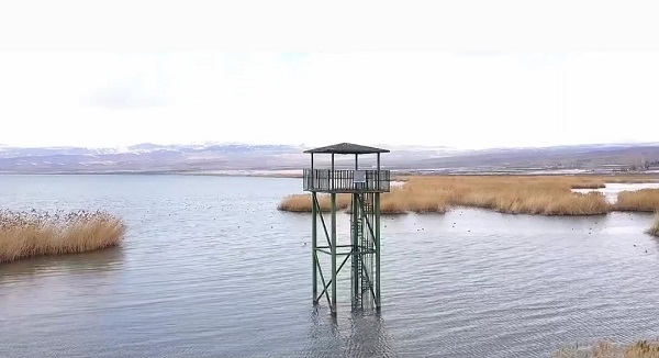 Foto - Su kaybı devam ediyor! Erçek Gölü'nün son hali üzdü