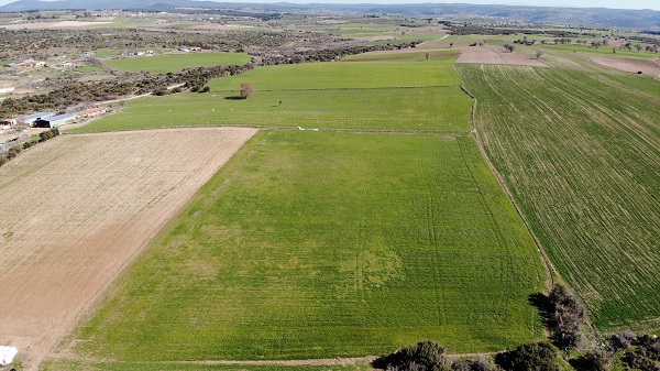 Foto - Su krizi kapıda! Bu ürünlerin yetiştirilmesi kısıtlanabilir