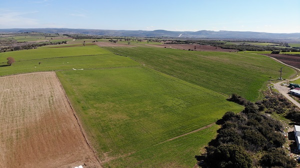 Foto - Su krizi kapıda! Bu ürünlerin yetiştirilmesi kısıtlanabilir