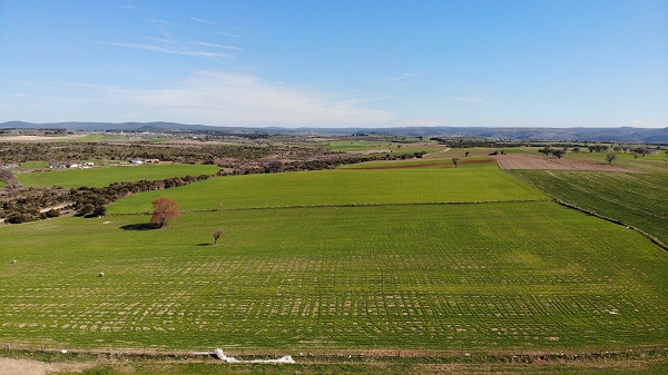 Foto - Su krizi kapıda! Bu ürünlerin yetiştirilmesi kısıtlanabilir