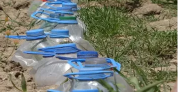 Foto - Su olmadan tarlaya ekildi! Çiftçi aldığı sonuç karşısında şoka uğradı: Her yerden fışkırıyor