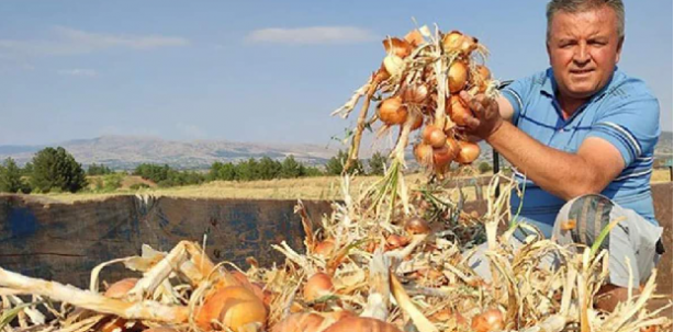 Foto - Su olmadan tarlaya ekildi! Çiftçi aldığı sonuç karşısında şoka uğradı: Her yerden fışkırıyor