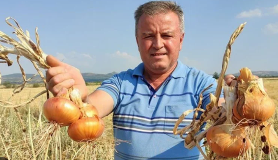 Foto - Su olmadan tarlaya ekildi! Çiftçi aldığı sonuç karşısında şoka uğradı: Her yerden fışkırıyor