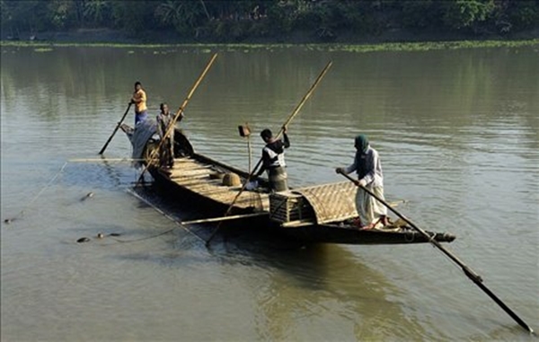 Foto - Su samurlarından inanılmaz balık avlama yöntemi