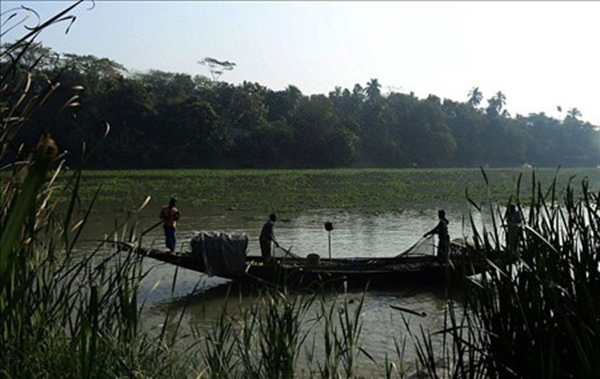 Foto - Su samurlarından inanılmaz balık avlama yöntemi