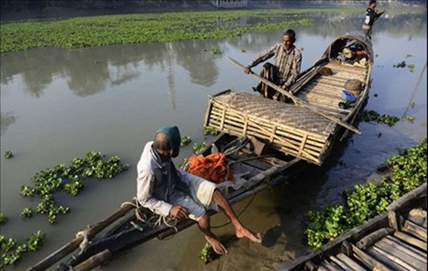 Foto - Su samurlarından inanılmaz balık avlama yöntemi