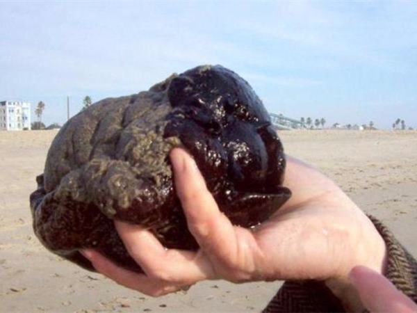 Su sayacı kutusunu açınca şok oldular!