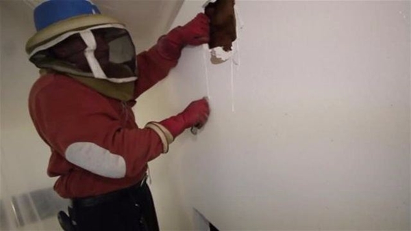 Foto - Su sayacı kutusunu açınca şok oldular!