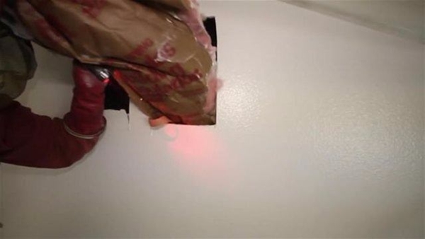 Foto - Su sayacı kutusunu açınca şok oldular!