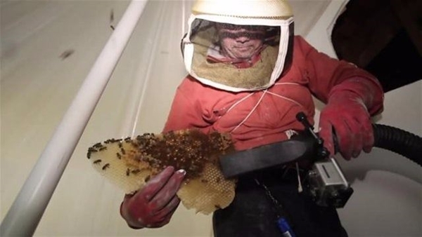 Foto - Su sayacı kutusunu açınca şok oldular!