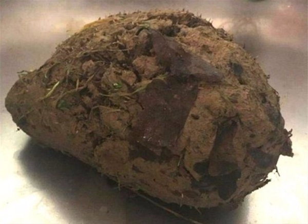 Foto - Su sayacı kutusunu açınca şok oldular!