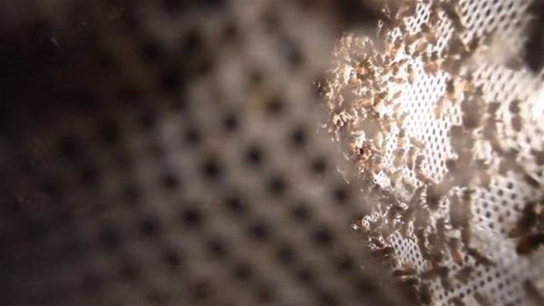 Foto - Su sayacı kutusunu açınca şok oldular!