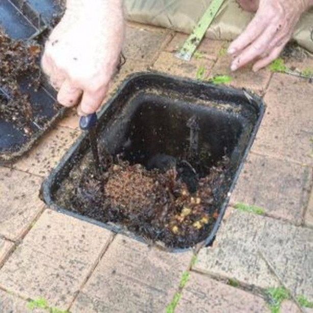 Foto - Su sayacını açtıklarında şok oldular!