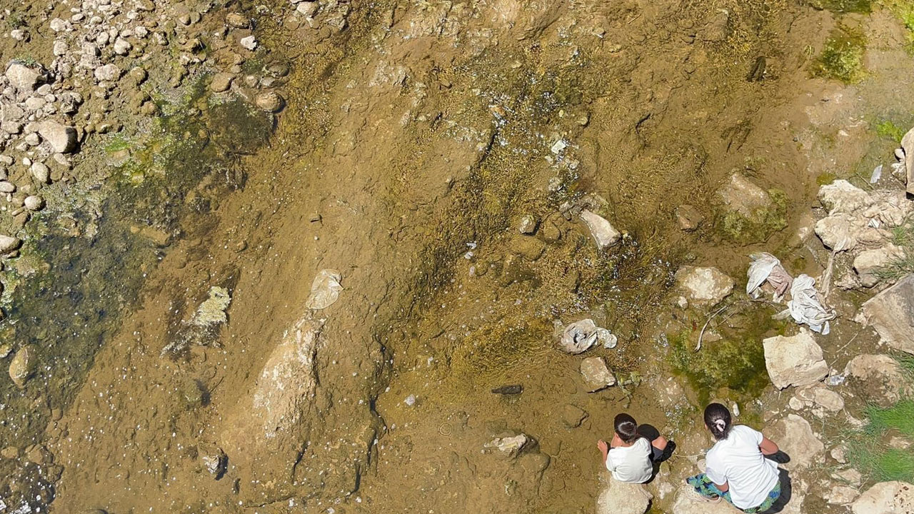 Foto - Su seviyesi düştü, yaşam durdu! Bir balık türü yok olma tehlikesiyle karşı karşıya